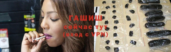 индика Алзамай