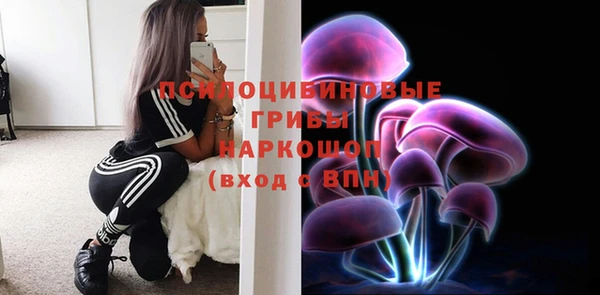 индика Алзамай
