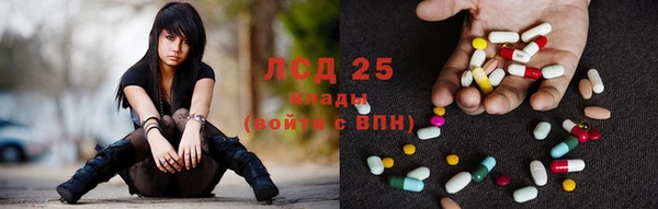 спайс Корсаков