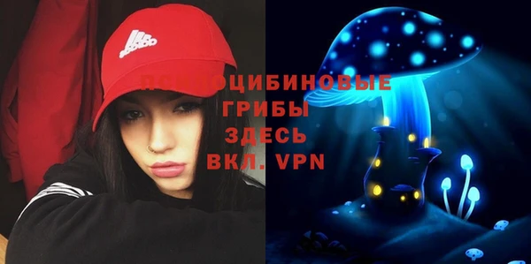 СК Алексеевка