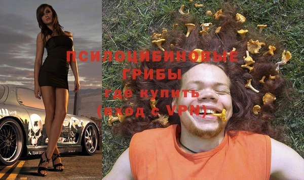 СК Алексеевка