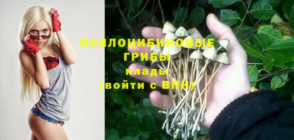 apvp Коряжма